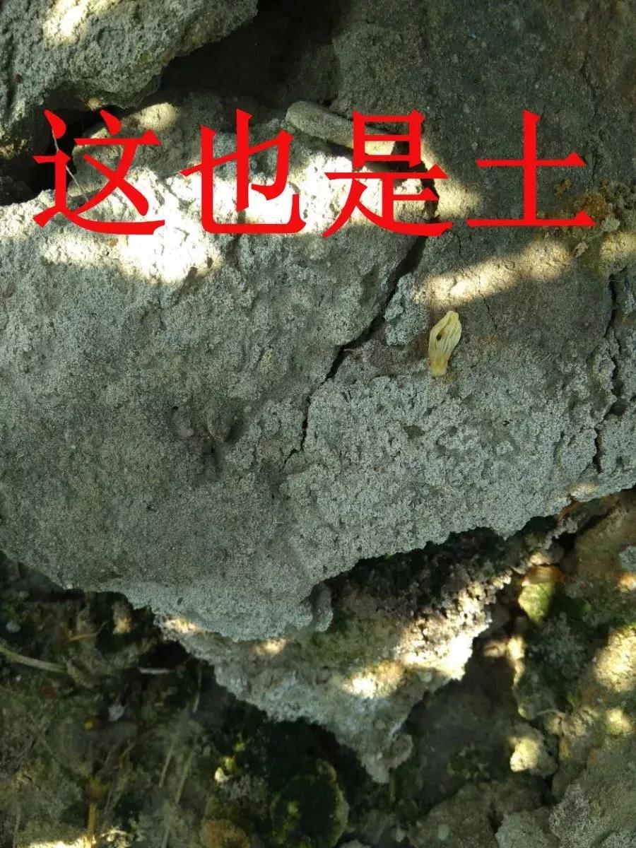 2.jpg 2.jpg