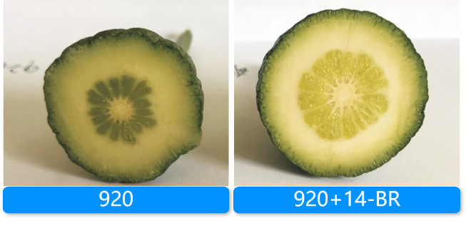 640.png 640.png